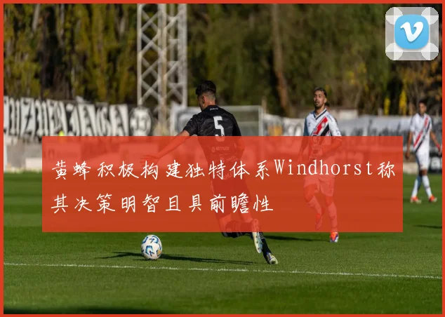 黄蜂积极构建独特体系Windhorst称其决策明智且具前瞻性